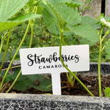Replacement Decals for Reusable Veggie Garden Stakes